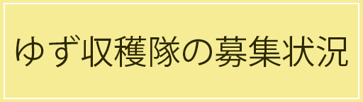 愛知県豊根村[とみやま村]ゆず収穫隊|とみやまの柚子収穫