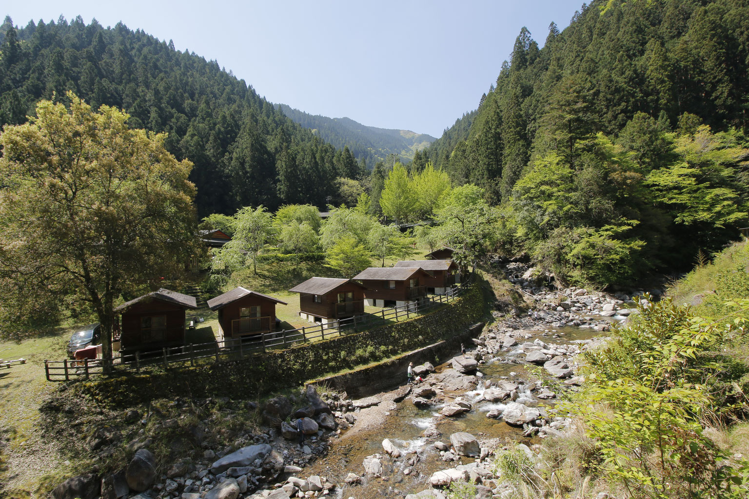 愛知県豊根村[とみやま村]ゆず収穫隊|とみやまの柚子収穫