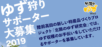 愛知県豊根村[とみやま村]ゆず収穫隊|とみやまの柚子収穫